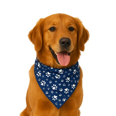 White Paws Bandana, Royal Blue,Small, (Pack of 10)