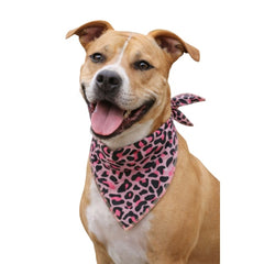 Leopard Bandana,Large, (Pack of 10)
