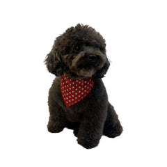 White Dots Doggie Bandana, Red,Large, (Pack of 10)