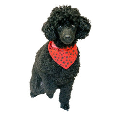 Black Pawprints Bandana, Red,Small (Pack of 10)