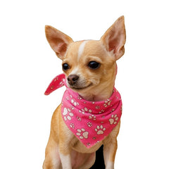 White Paws Bandana, Hot Pink,Large, (Pack of 10)