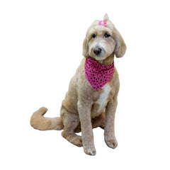 Black Pawprints Bandana, Pink,Large, (Pack of 10)
