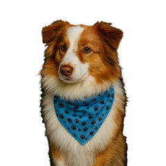 Black Pawprints Bandana, Blue,Small, (Pack of 10)