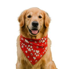 White Paws Bandana, Red,Small, (Pack of 10)
