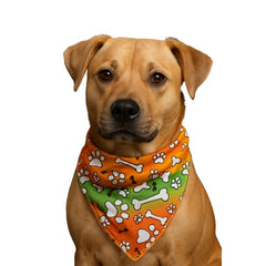 Paws & Bones Bandana, Orange, Green,Medium, -(Pack of 10)