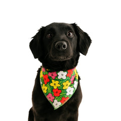 Flowers Doggie Bandana,Small, (Pack of 10)