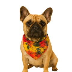 Colorful Paws Bandana,Small, (Pack of 10)