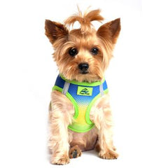 American River Choke Free Dog Harness Ombre Collection - Cobalt Sport, Medium