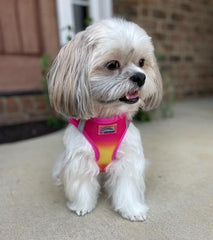 American River Choke Free Dog Harness Ombre Collection - Raspberry Pink and Orange, Large