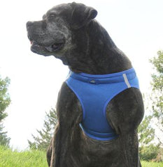 American River Solid Ultra Choke Free Dog Harness - Cobalt Blue, 3X-Large