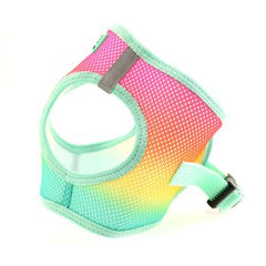 American River Choke Free Dog Harness Ombre Collection - Beach Party, Small