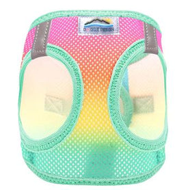 American River Choke Free Dog Harness Ombre Collection - Beach Party, XX-Small