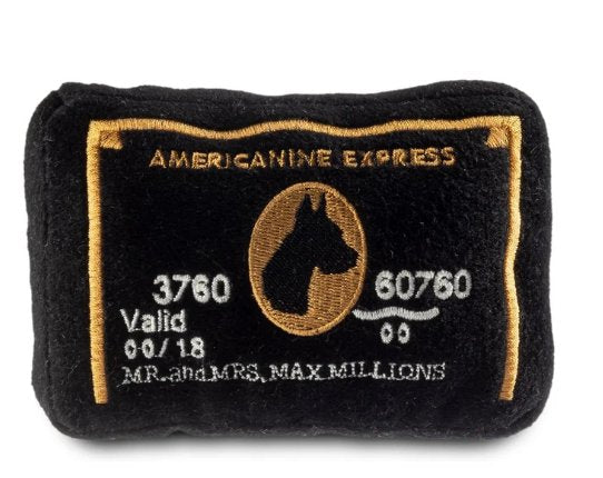 Americanine Express Bank Card