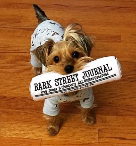 Bark Street Journal