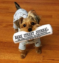 Bark Street Journal