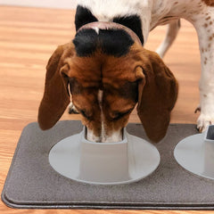 Ear-Clear - Pet Feeding Station