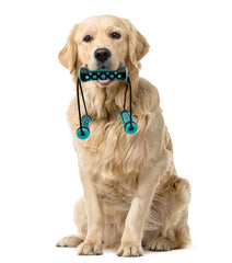 Ruff & Ready Trio Chew & Tug Toy