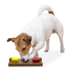 Brainiac Flip-Flop-Fido Treat Dispensing Pet Toy