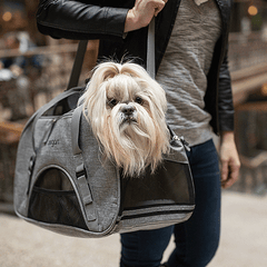 Bergan Comfort Carrier L Grey