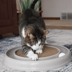 Coastal Turbo Scratcher Eco Cat Toy Grey 14"