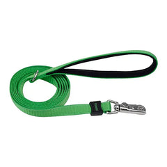 Coastal Inspire Leash 1" x 6' Green