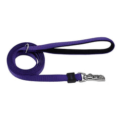 Coastal Inspire Leash 1" x 6' Purple