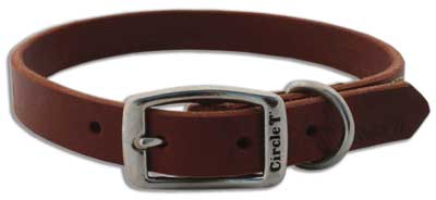 Coastal Latigo Town Collar 3/4 x 18