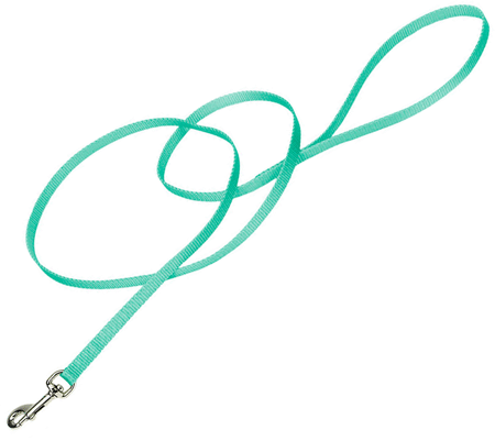 Coastal Nylon  Lead 6' x 3/8in Teal