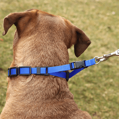 Coastal Natural Control Training Collar Additional Links 3pk