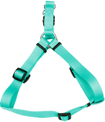 Coastal Nylon Lead 6'x3/4 Teal