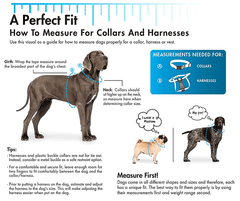 Coastal Tuff Adjustable Dog Collar 8-12x3/8 Lime