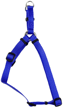Coastal Comfort Wrap Harness 12-18x3/8 Blue
