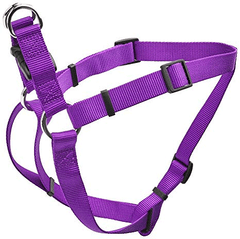 Coastal Comfort Wrap Harness 12-18x3/8 Purple