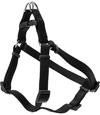 Coastal Comfort Wrap Harness 16-24x5/8 Black