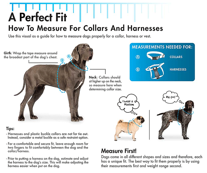 Coastal Comfort Wrap Harness 16-24x5/8 Teal