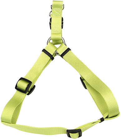 Coastal Comfort Wrap Harness 20-30x3/4 Lime