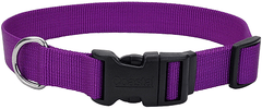 Coastal Tuff Adjustable Dog Collar 18-26x1 Purple
