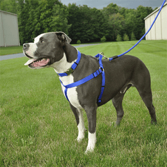 Coastal Comfort Wrap Harness 26-38x1 Blue