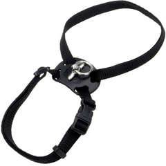 CoastalSize Right Cat Harness 12-18x3/8 Black