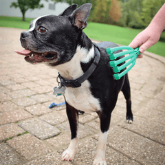 Coastal  Petkore™GroomRaker for Dogs S