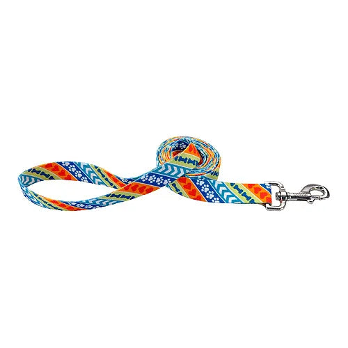 Pet Attire Styles Dog Leash 6'x1 Resolve