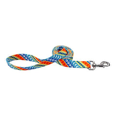 Pet Attire Styles Dog Leash 6'x1 Resolve