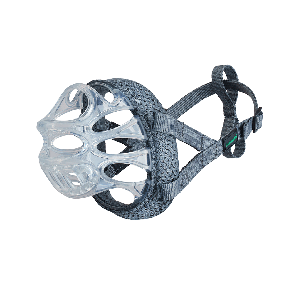 Company of Animals Baskerville Invisa Muzzle Size 1 Clear
