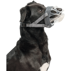 Company of Animals  Baskerville Invisa Muzzle Size 2 Clear