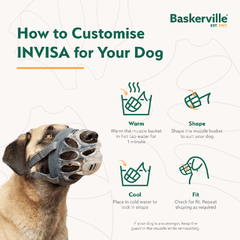 Company of Animals  Baskerville Invisa Muzzle Size 2 Clear