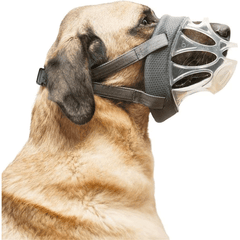 Company of Animals  Baskerville Invisa Muzzle Size 6 Clear