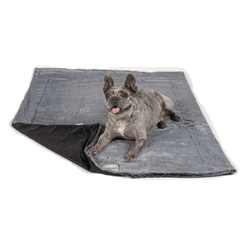 Dgs Itchy Witchy Black Blanket L 40x50"