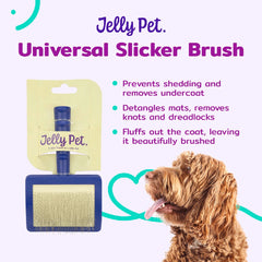 Jelly Pet Slicker Brush Soft Large