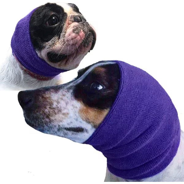 HAPPY HOODIE 2pk Purple