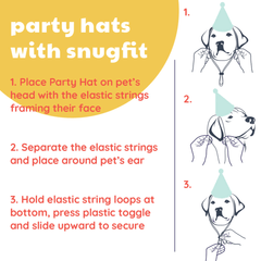 HUXLEY & KENT Party Hat Happy Barkday L